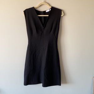 Everlane The Sleeveless V-Neck Flare Dress